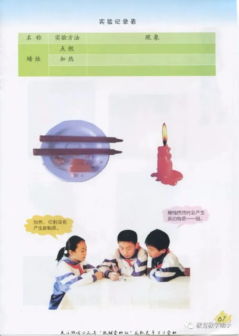 五年级上册科学青岛版五四制电子课本_全部版本&bull;小学科学电子课本_青岛版54制小学科学课本