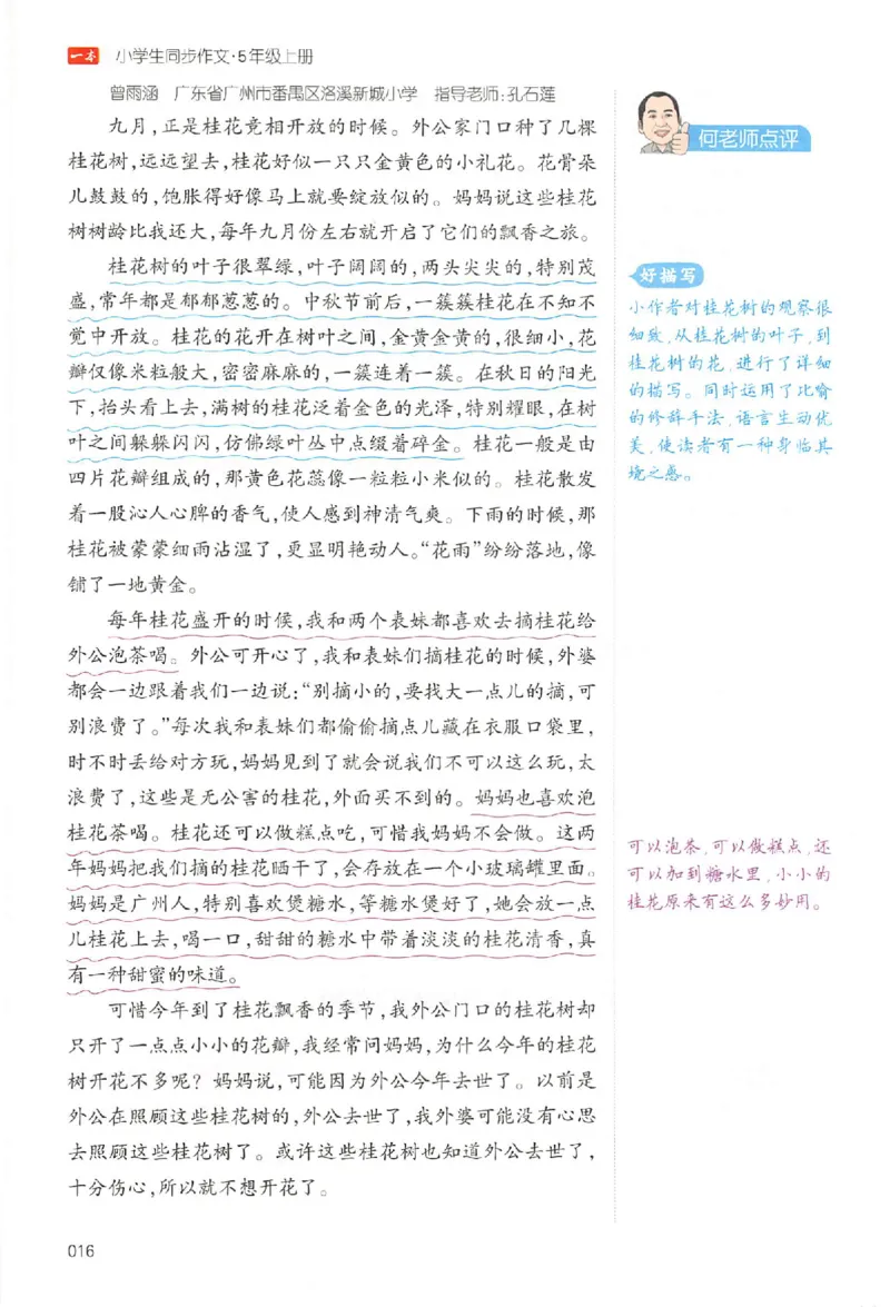 五年级语文上册25秋《一本小学生同步作文》_一本同步作文_五年级语文上册25秋《一本小学生同步作文》