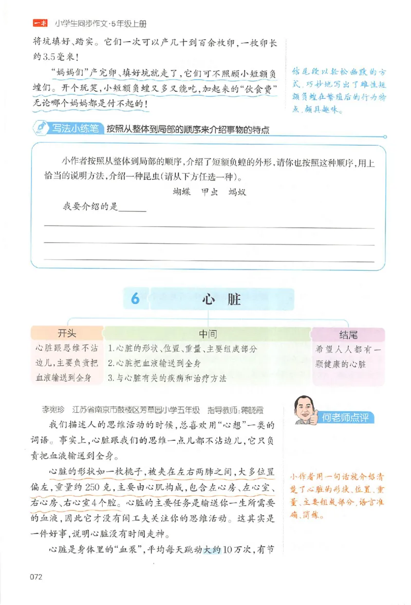 五年级语文上册25秋《一本小学生同步作文》_一本同步作文_五年级语文上册25秋《一本小学生同步作文》