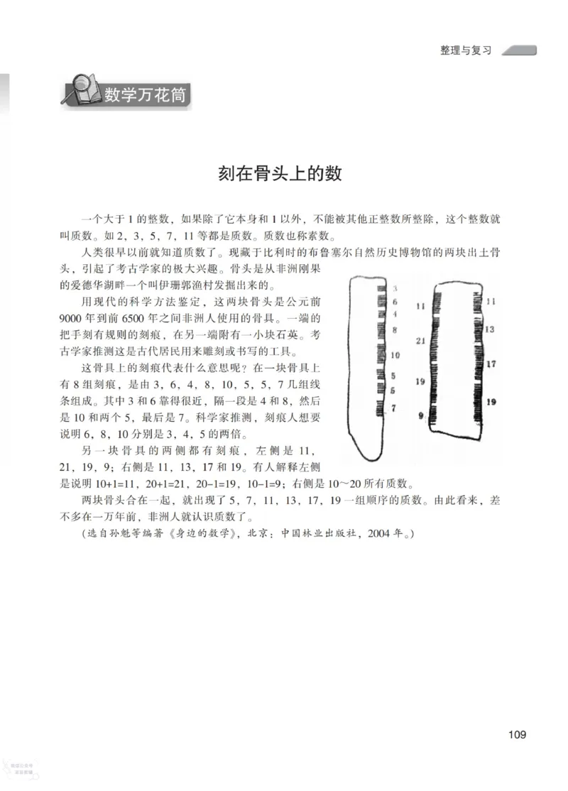 北师大版5年级上册数学教师用书_《教师教学用书（教参）》25秋数学1-6年级上册（北师大）