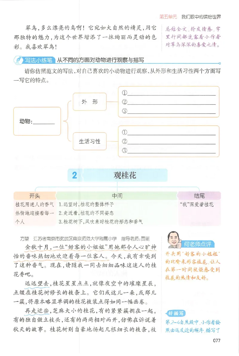 三年级语文上册25秋《一本小学生同步作文》_一本同步作文_三年级语文上册25秋《一本小学生同步作文》