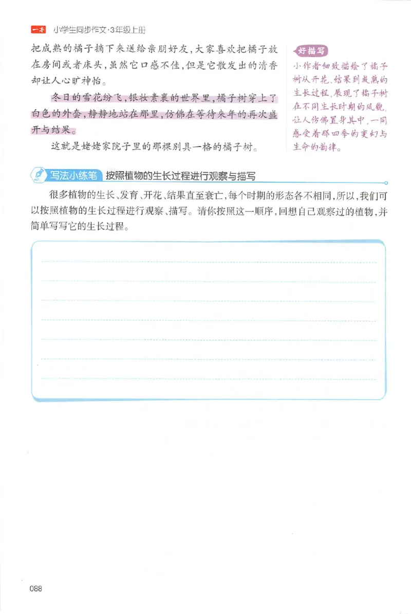 三年级语文上册25秋《一本小学生同步作文》_一本同步作文_三年级语文上册25秋《一本小学生同步作文》