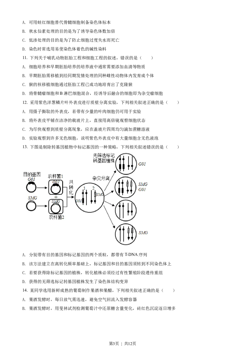 2021年高考生物试卷（江苏）（空白卷）_生物历年高考真题_新&middot;Word版2008-2025&middot;高考生物真题_生物（按年份分类）2008-2025_2021&middot;高考生物真题