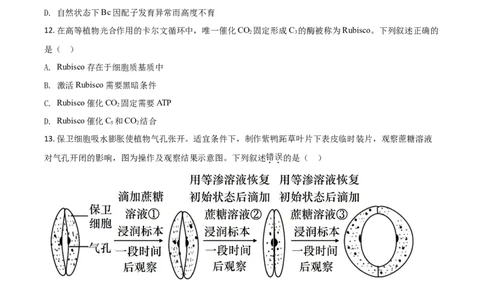2021年高考生物试卷（广东）（空白卷）_生物历年高考真题_新&middot;Word版2008-2025&middot;高考生物真题_生物（按年份分类）2008-2025_2021&middot;高考生物真题