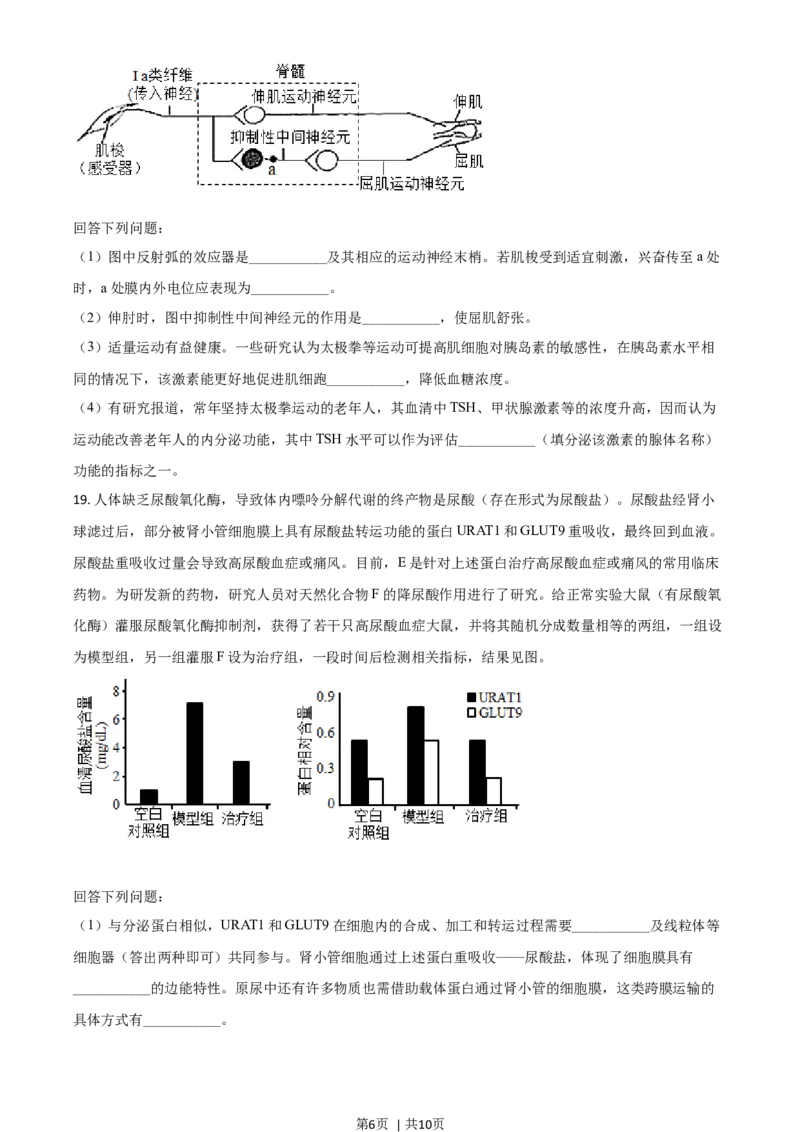 2021年高考生物试卷（广东）（空白卷）_生物历年高考真题_新&middot;Word版2008-2025&middot;高考生物真题_生物（按年份分类）2008-2025_2021&middot;高考生物真题