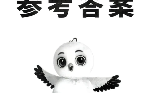 数学RJ3年级上：答案册_25秋小白鸥情景题数学人教版三年级上册