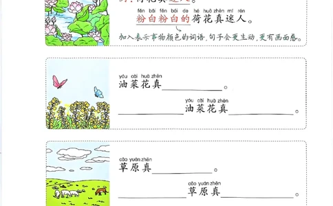 2025春《王朝霞看图写话》1下_一年级上下册资料_53黄冈多个品牌系列资料_语文