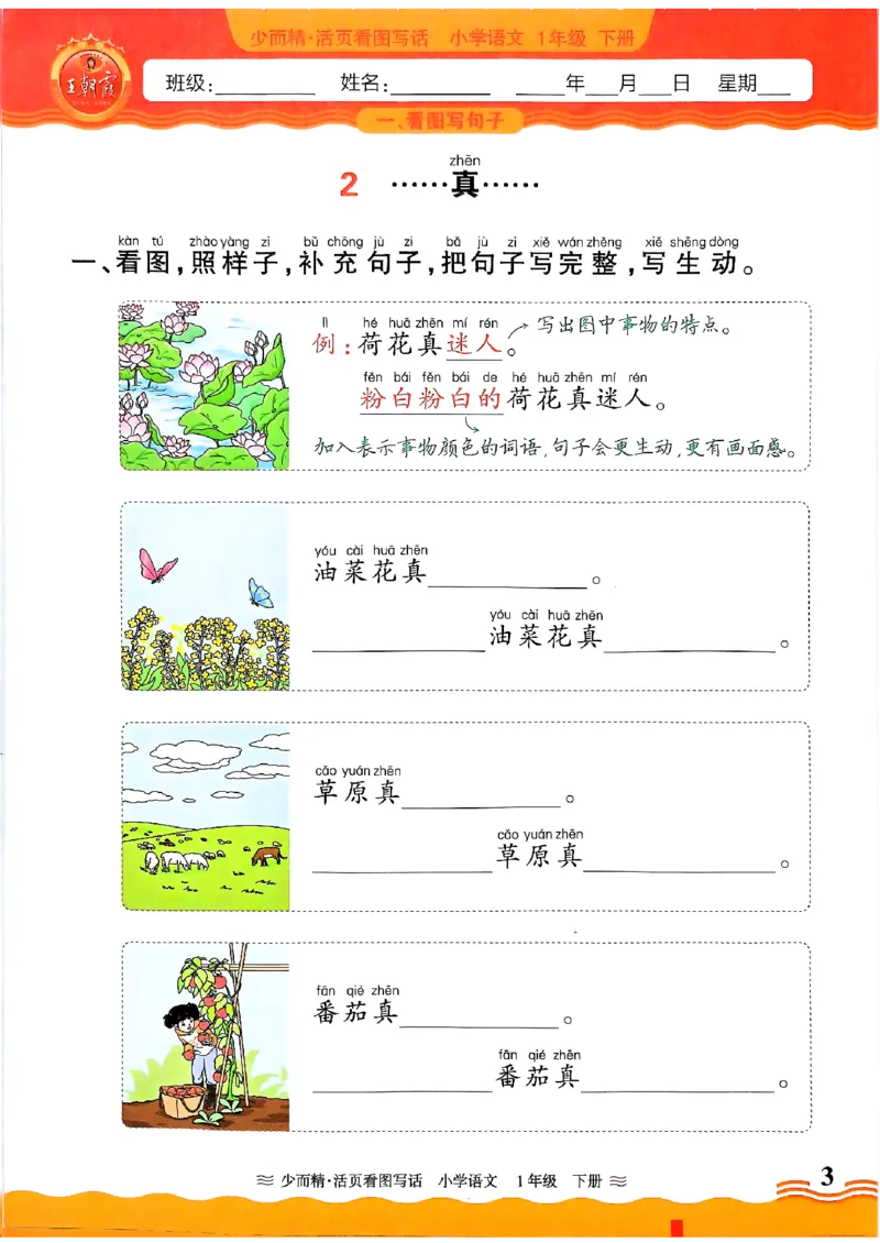 2025春《王朝霞看图写话》1下_一年级上下册资料_53黄冈多个品牌系列资料_语文