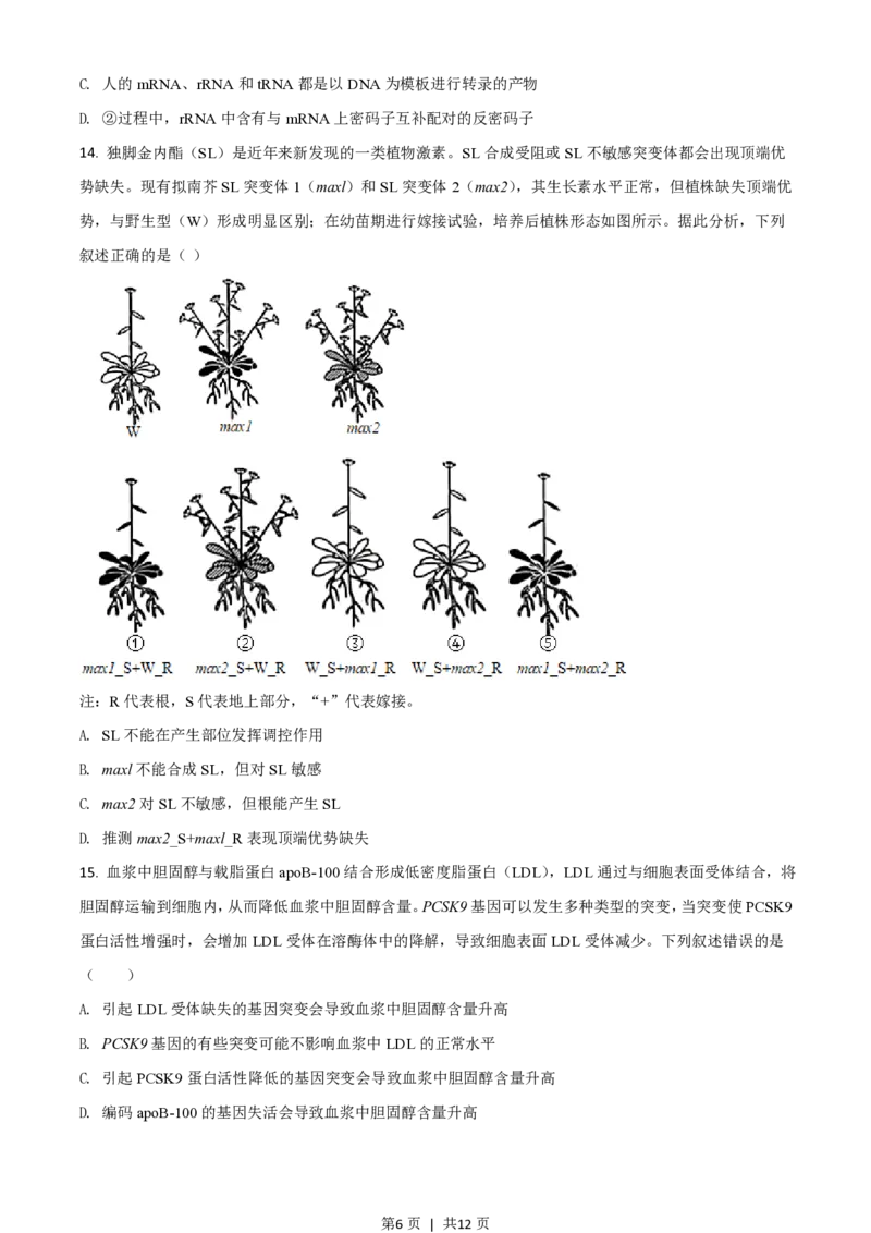 2021年高考生物试卷（湖南）（空白卷）_生物历年高考真题_新&middot;PDF版2008-2025&middot;高考生物真题_生物（按年份分类）2008-2025_2021&middot;高考生物真题