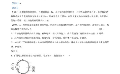2023年福建省中考生物真题（解析卷）_福建中考1_6.福建中考生物（2017-2025）