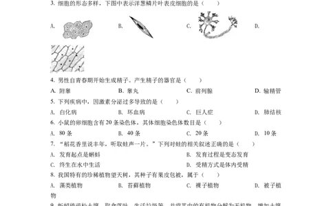 2022年福建省中考生物真题（空白卷）_福建中考1_6.福建中考生物（2017-2025）