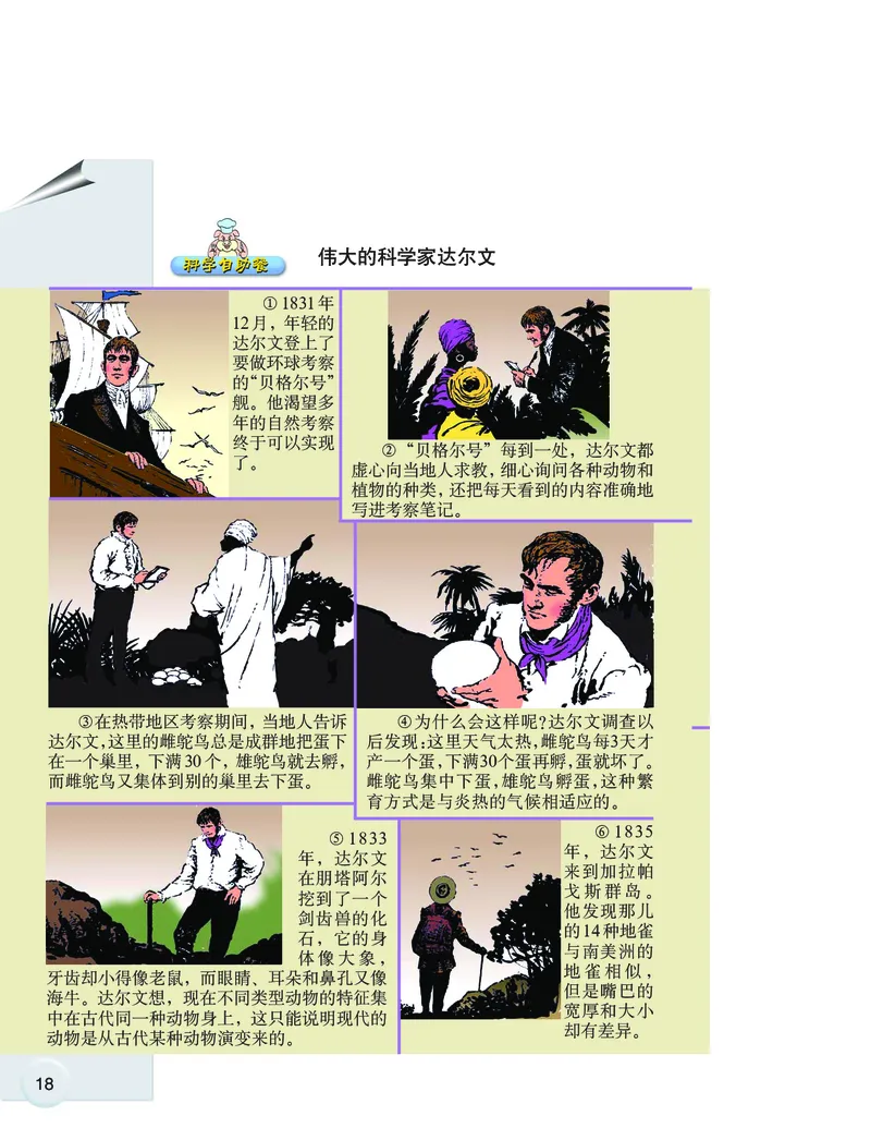 大象版6年级科学下册高清教材_全部版本&bull;小学科学电子课本_大象版小学科学电子课本