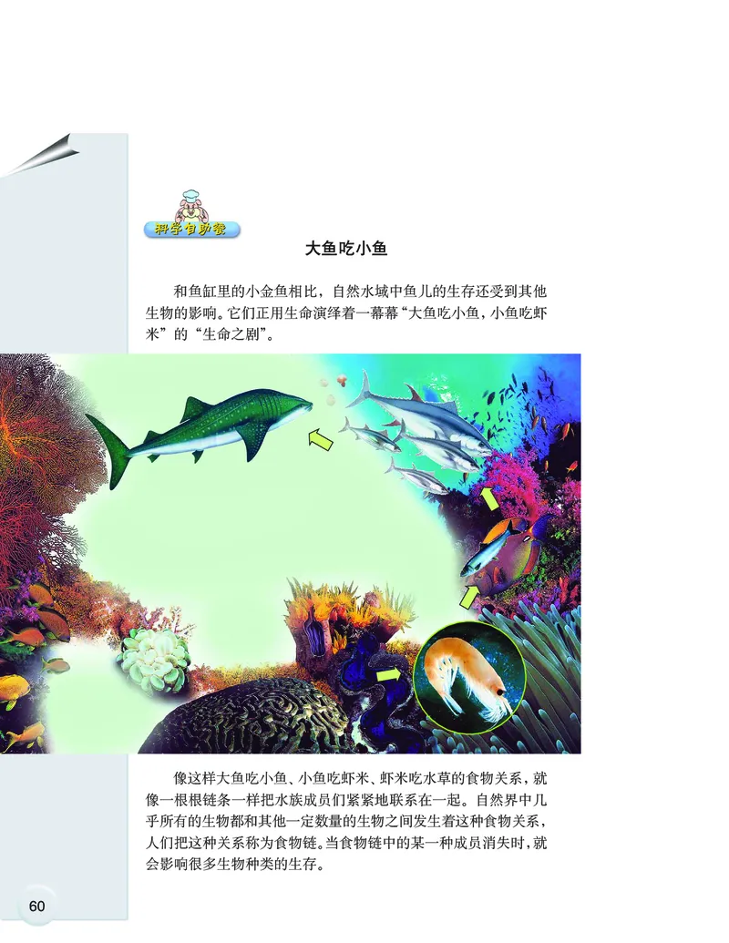 大象版6年级科学下册高清教材_全部版本&bull;小学科学电子课本_大象版小学科学电子课本