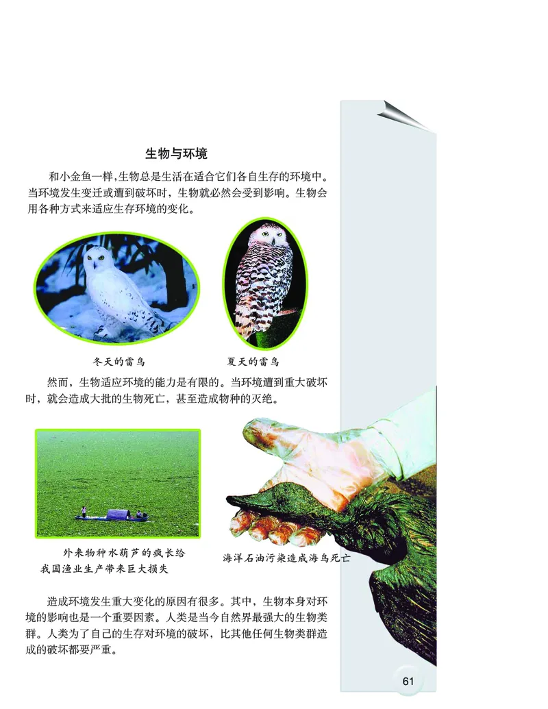 大象版6年级科学下册高清教材_全部版本&bull;小学科学电子课本_大象版小学科学电子课本