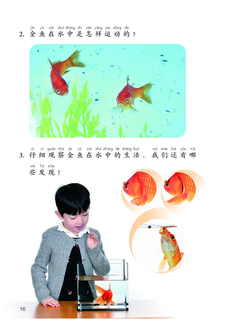 人教版1年级科学上册高清教材_全部版本&bull;小学科学电子课本_人教版小学科学电子课本