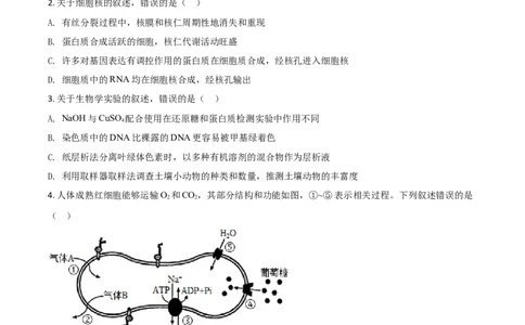 2021年高考生物试卷（河北）（空白卷）_生物历年高考真题_新&middot;Word版2008-2025&middot;高考生物真题_生物（按年份分类）2008-2025_2021&middot;高考生物真题