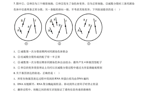 2021年高考生物试卷（河北）（空白卷）_生物历年高考真题_新&middot;Word版2008-2025&middot;高考生物真题_生物（按年份分类）2008-2025_2021&middot;高考生物真题