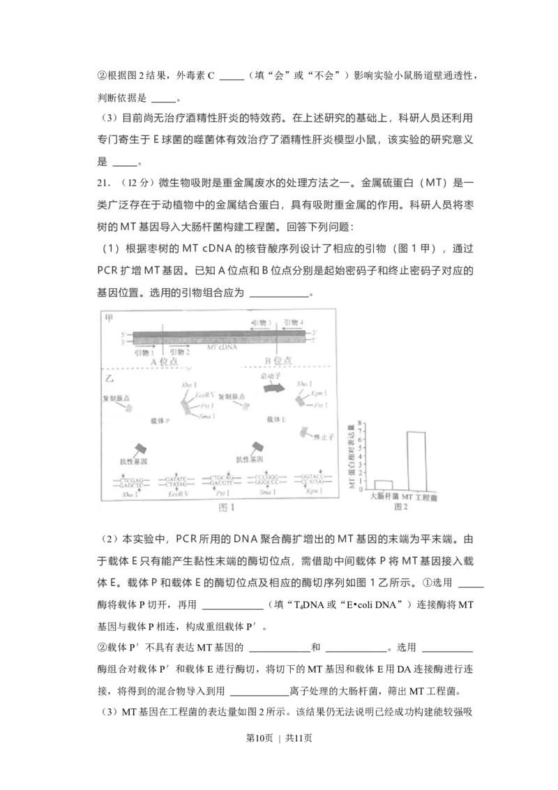 2021年高考生物试卷（福建）（空白卷）_生物历年高考真题_新&middot;Word版2008-2025&middot;高考生物真题_生物（按年份分类）2008-2025_2021&middot;高考生物真题