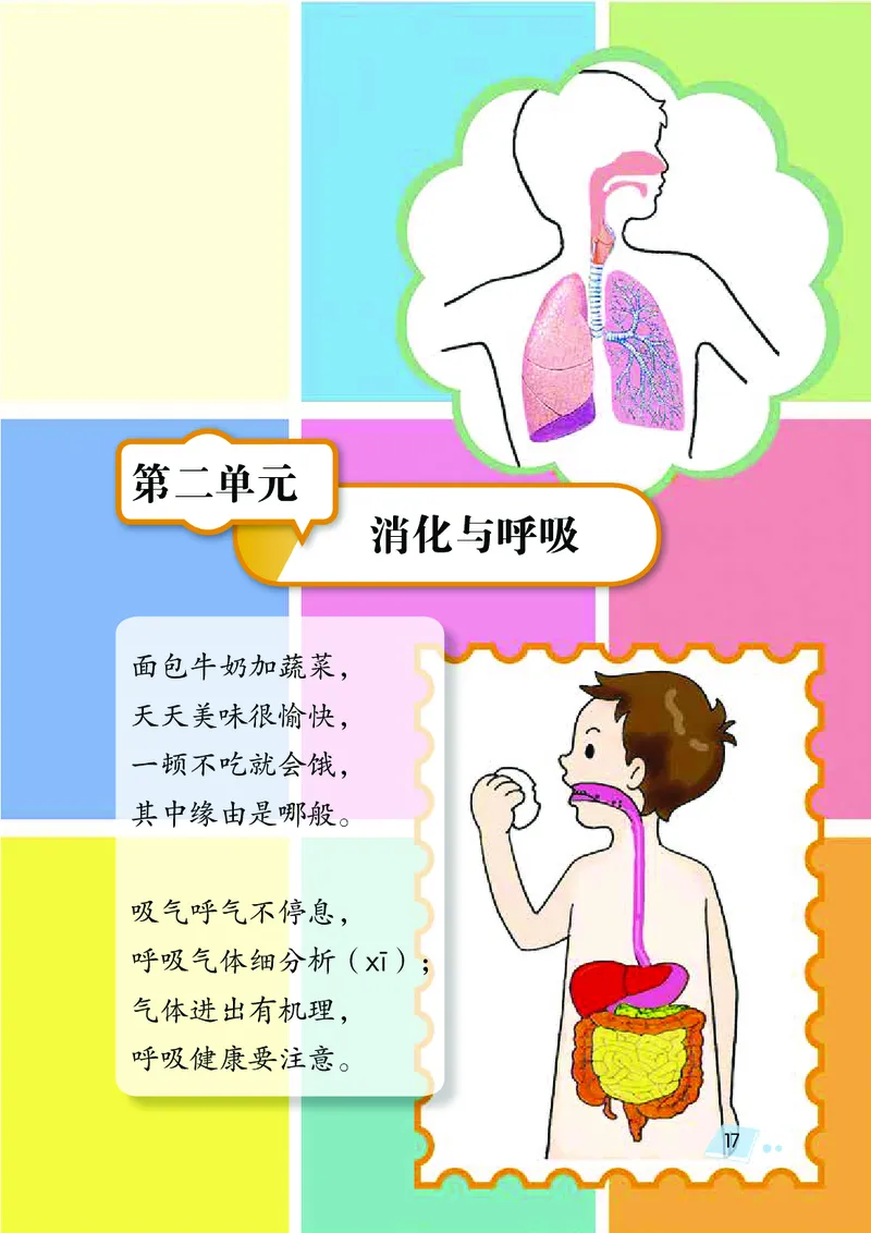 湘科版4年级科学上册高清教材_全部版本&bull;小学科学电子课本_湘科版小学科学电子课本