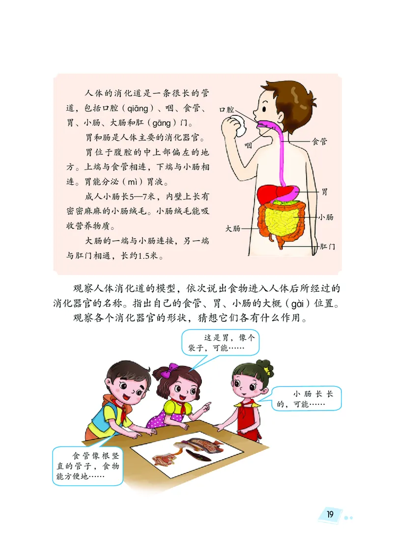 湘科版4年级科学上册高清教材_全部版本&bull;小学科学电子课本_湘科版小学科学电子课本