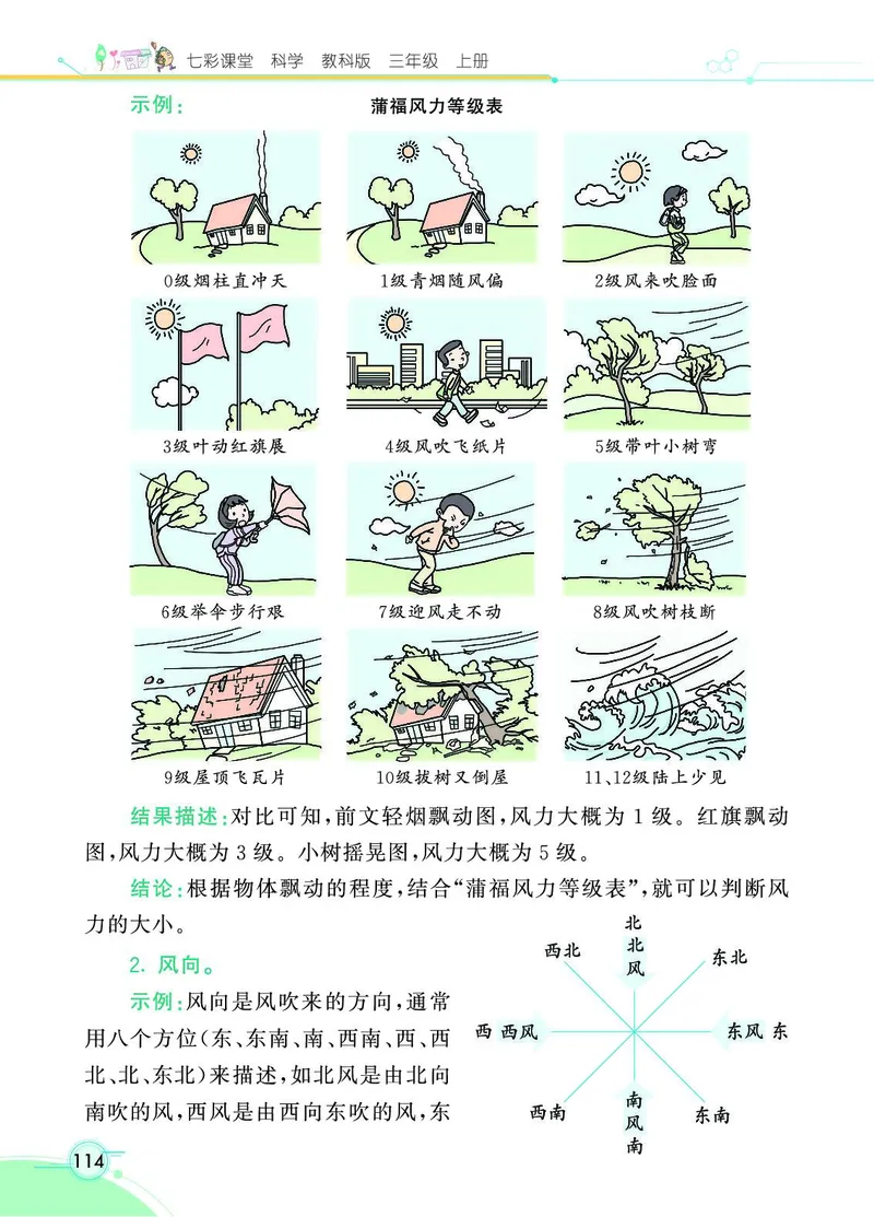 《七彩课堂》科学3年级上册（教科版）_三年级上下册资料_小学三年级学习资料-25年更新版_3-09、小学三年级科学上册_教科版_电子册类