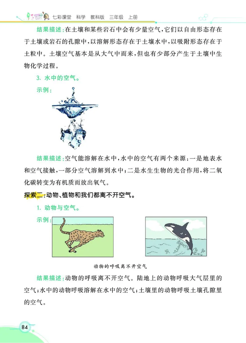 《七彩课堂》科学3年级上册（教科版）_三年级上下册资料_小学三年级学习资料-25年更新版_3-09、小学三年级科学上册_教科版_电子册类