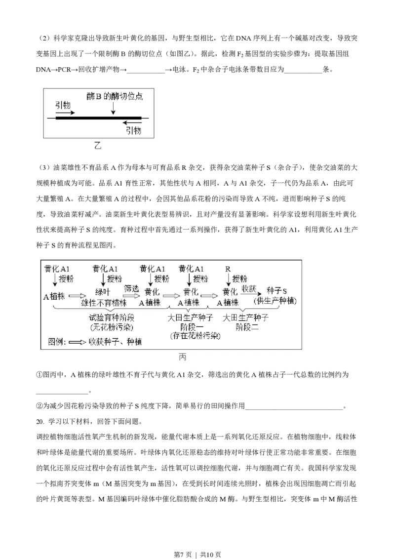 2023年高考生物试卷（北京）（空白卷）_生物历年高考真题_新&middot;PDF版2008-2025&middot;高考生物真题_生物（按年份分类）2008-2025_2023&middot;高考生物真题