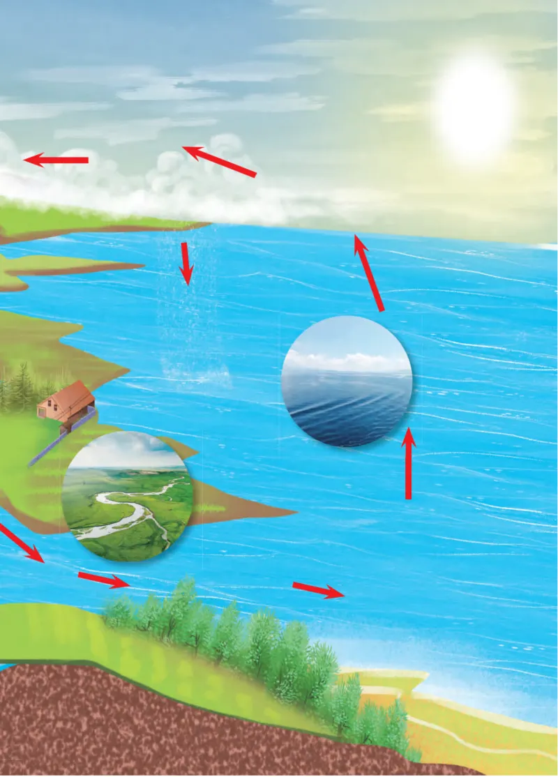 青岛版5年级科学上册高清教材_全部版本&bull;小学科学电子课本_青岛版63制小学科学课本