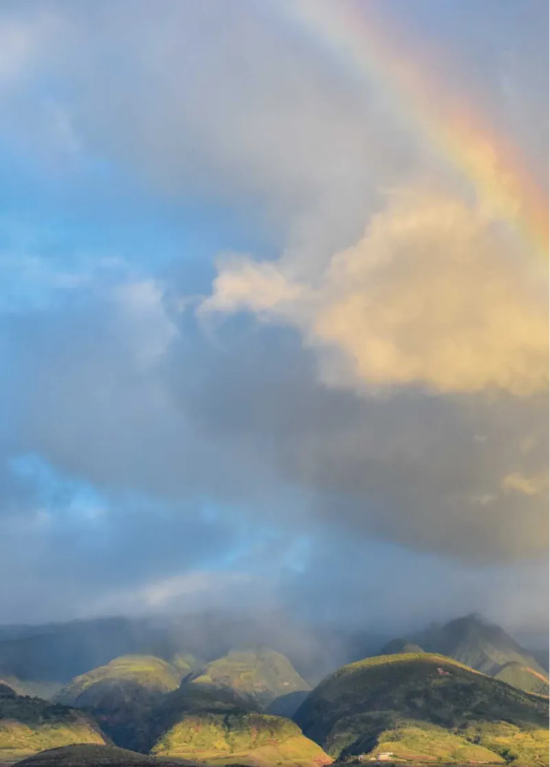 青岛版5年级科学上册高清教材_全部版本&bull;小学科学电子课本_青岛版63制小学科学课本