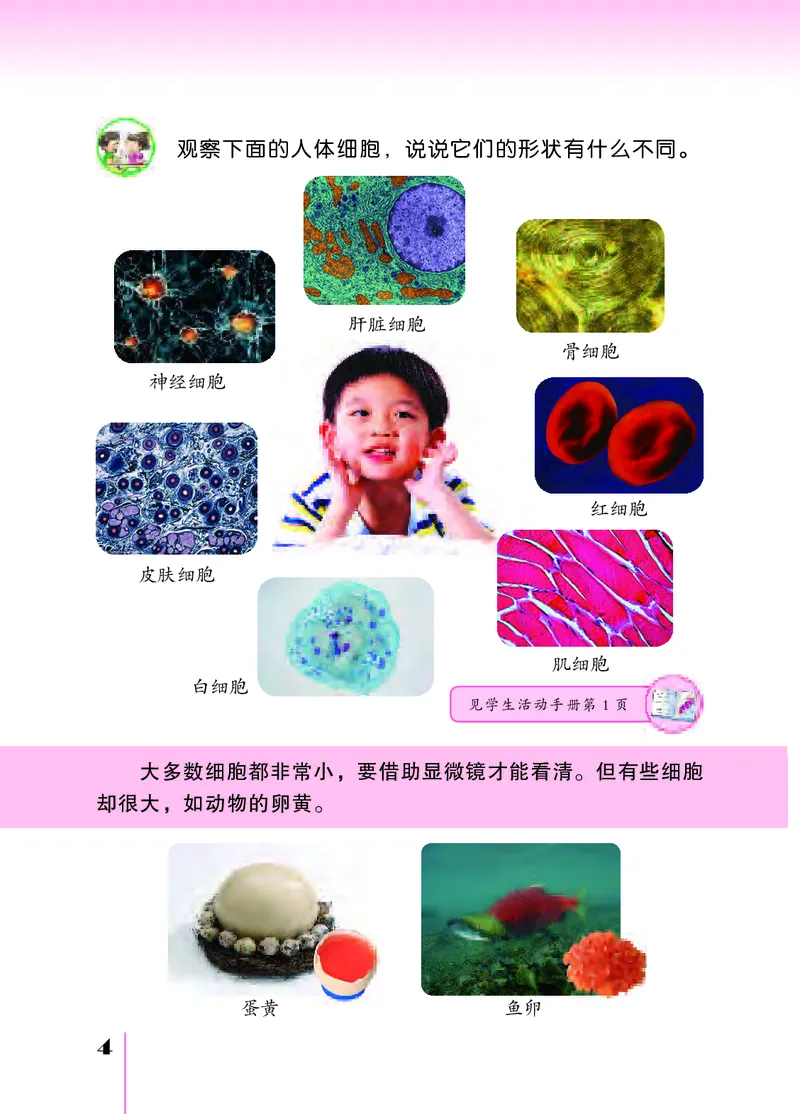 苏教版5年级科学下册高清教材_全部版本&bull;小学科学电子课本_苏教版小学科学电子课本