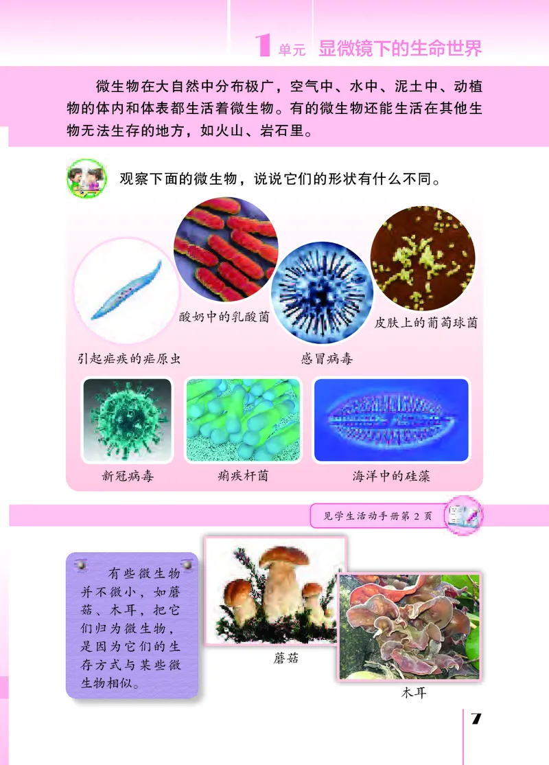 苏教版5年级科学下册高清教材_全部版本&bull;小学科学电子课本_苏教版小学科学电子课本