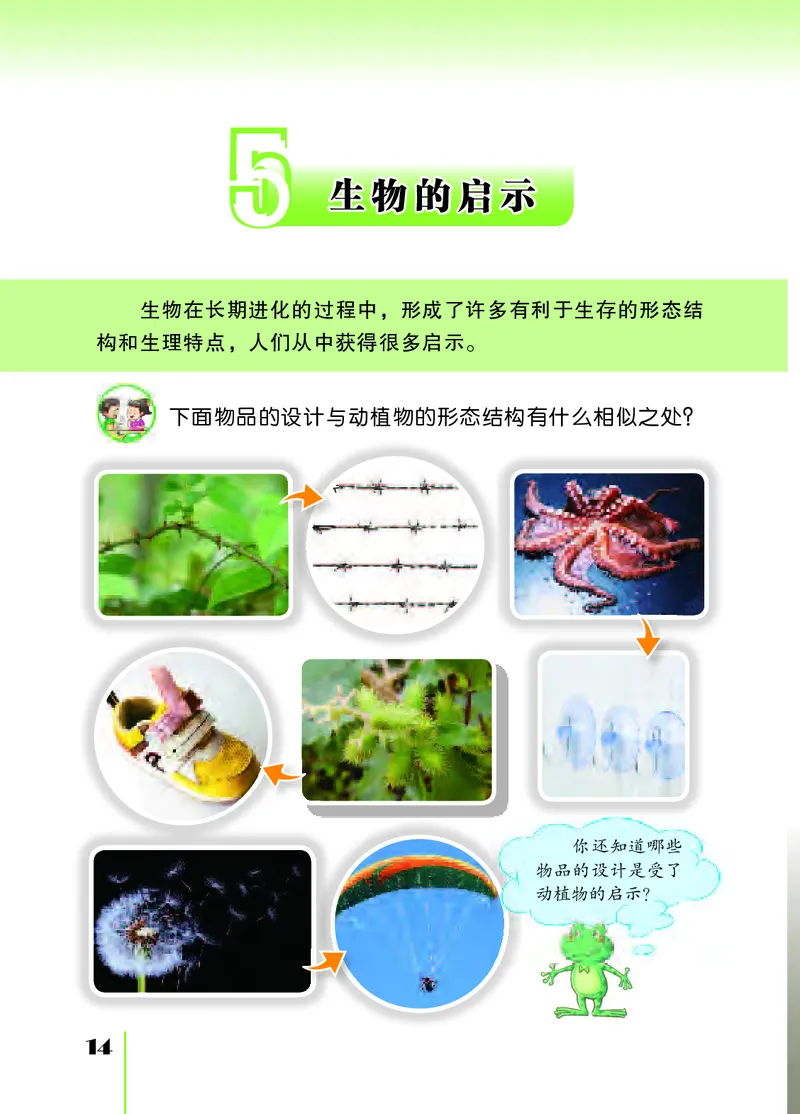 苏教版5年级科学下册高清教材_全部版本&bull;小学科学电子课本_苏教版小学科学电子课本