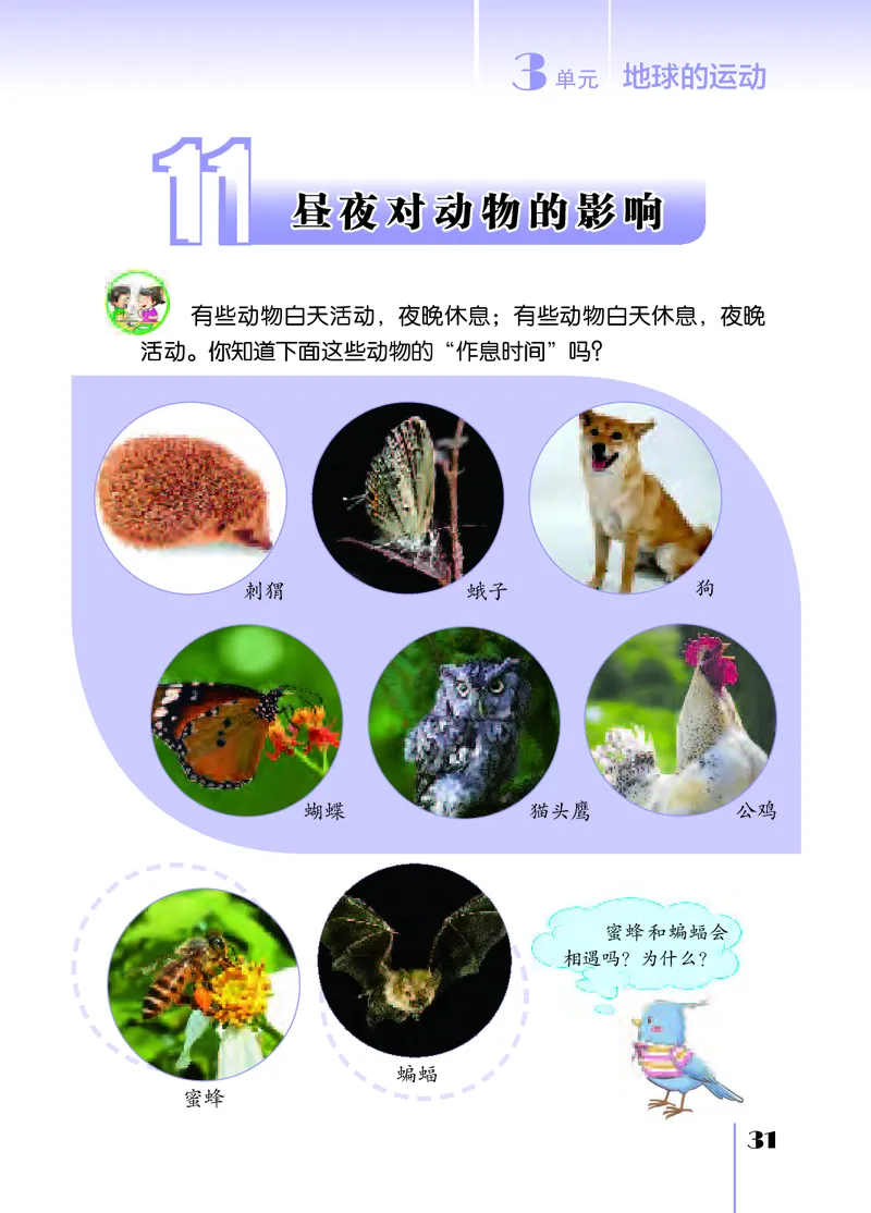 苏教版5年级科学下册高清教材_全部版本&bull;小学科学电子课本_苏教版小学科学电子课本