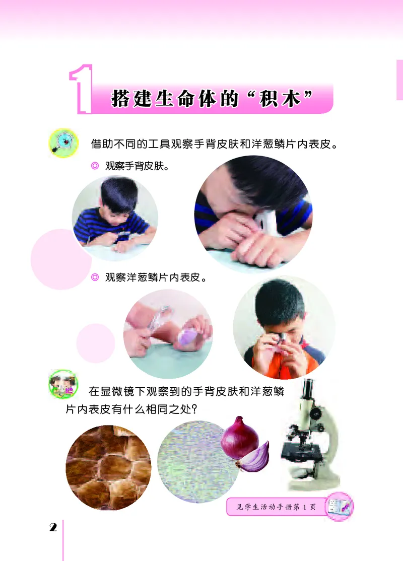 苏教版5年级科学下册高清教材_全部版本&bull;小学科学电子课本_苏教版小学科学电子课本