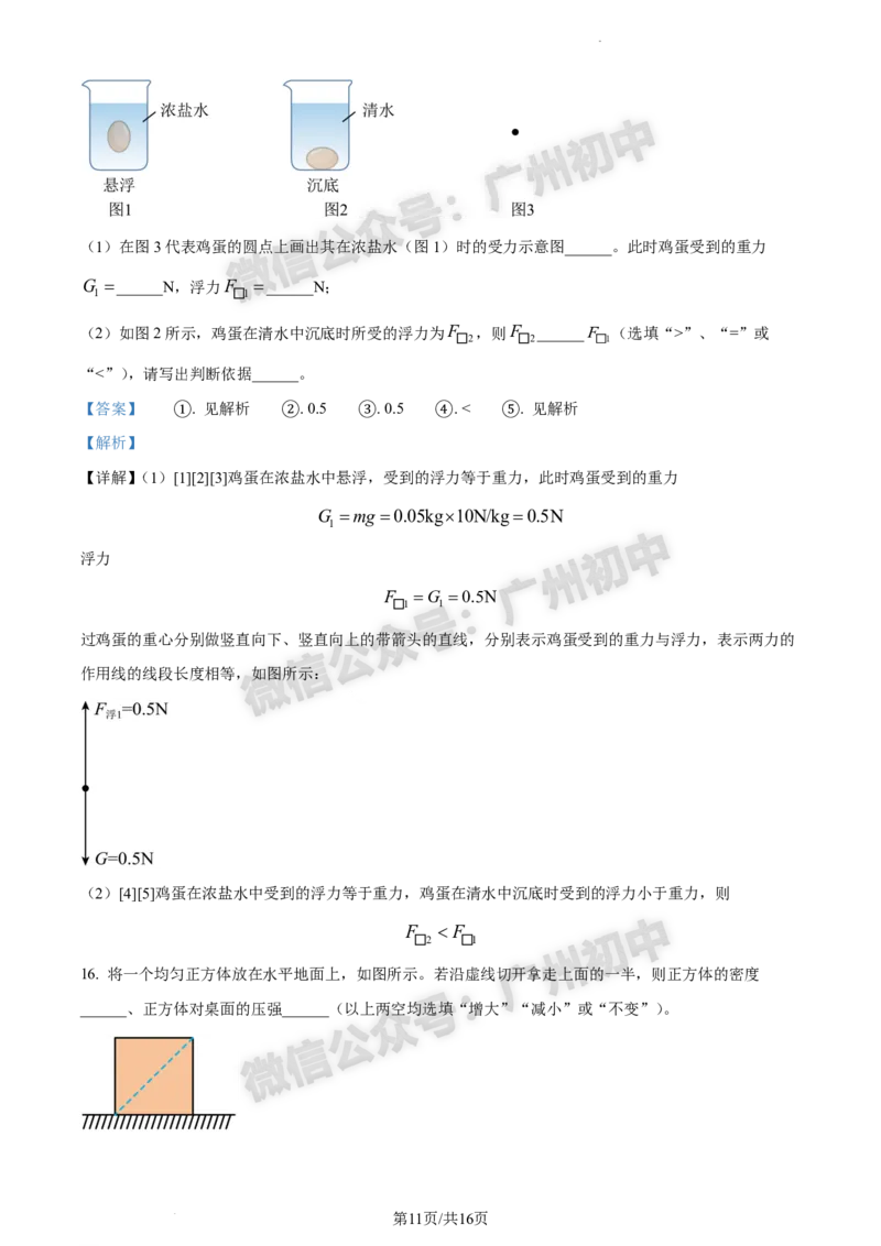 2024南沙区中考一模物理试题答案解析_广州九上月考+期中+期末+一模二模+中考真题_广州2024年中考一模_南沙区