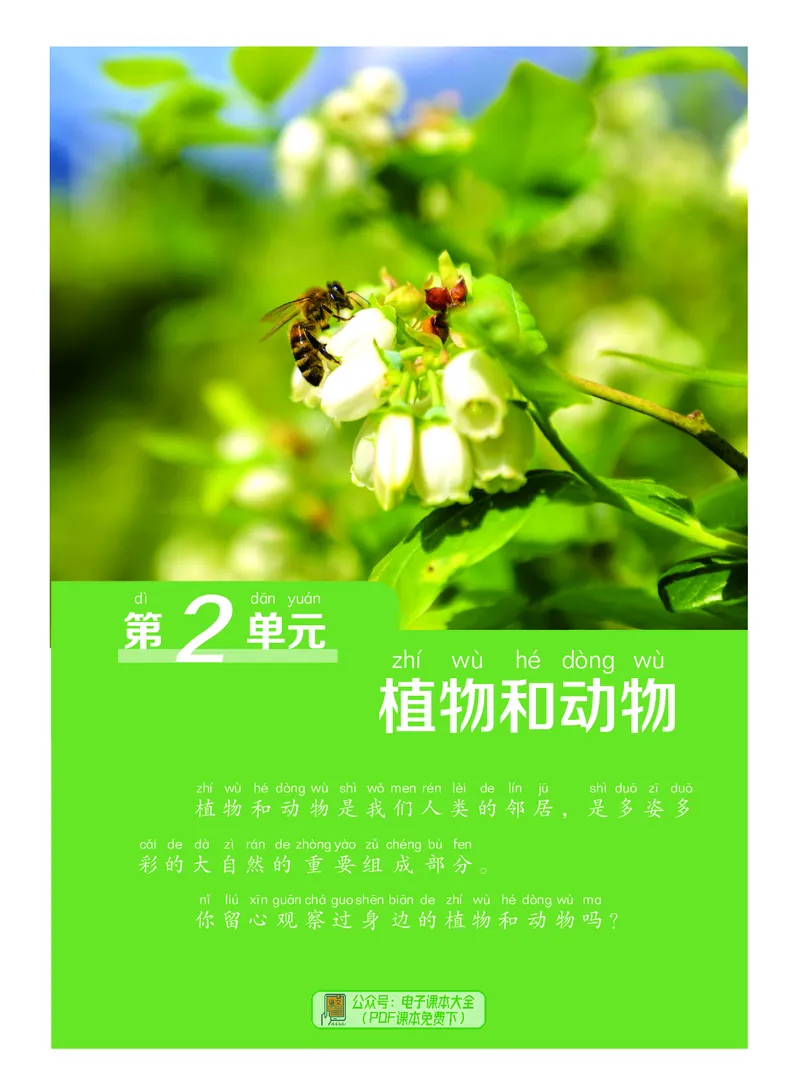 科学一下粤教粤科版（2025春）_小学全网线上同款资料_2025春新增教材合集_小学科学（2025春新教材）
