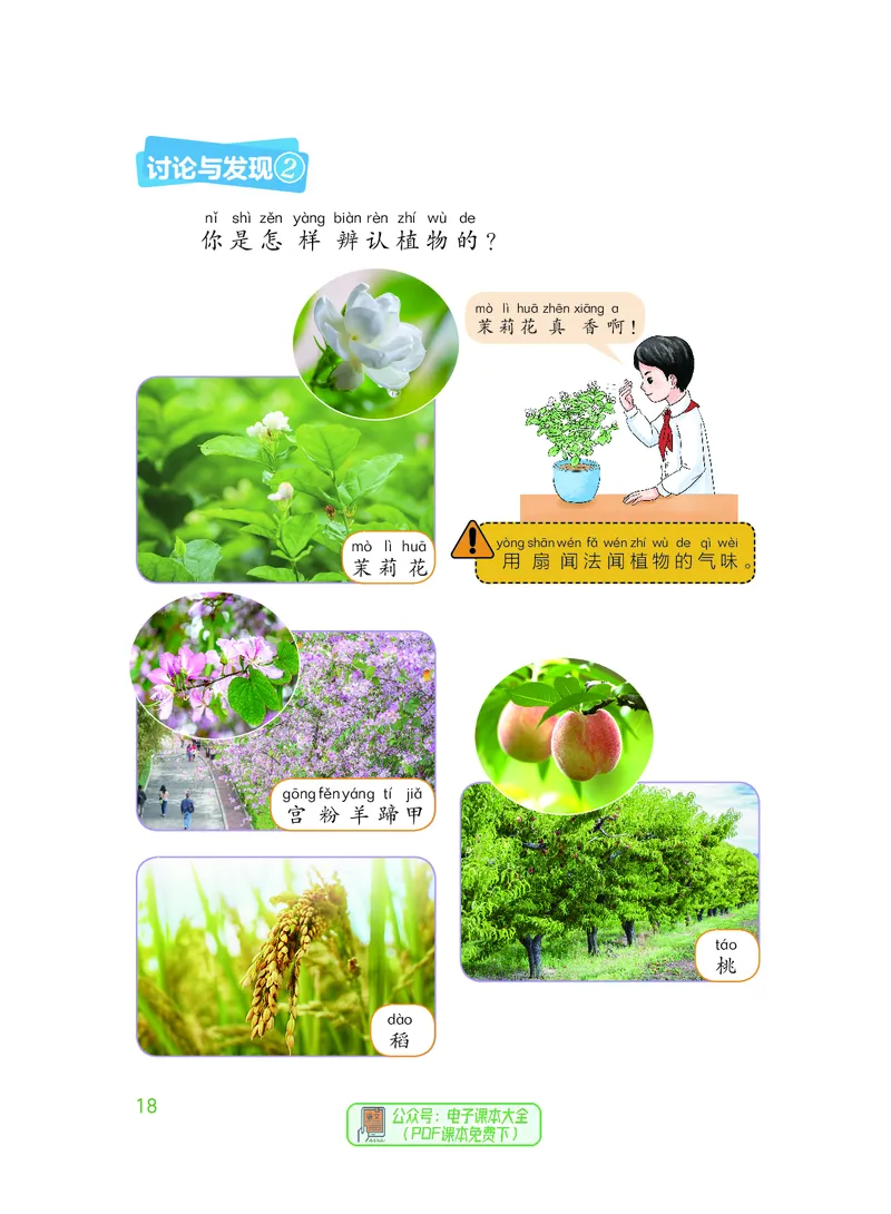 科学一下粤教粤科版（2025春）_小学全网线上同款资料_2025春新增教材合集_小学科学（2025春新教材）