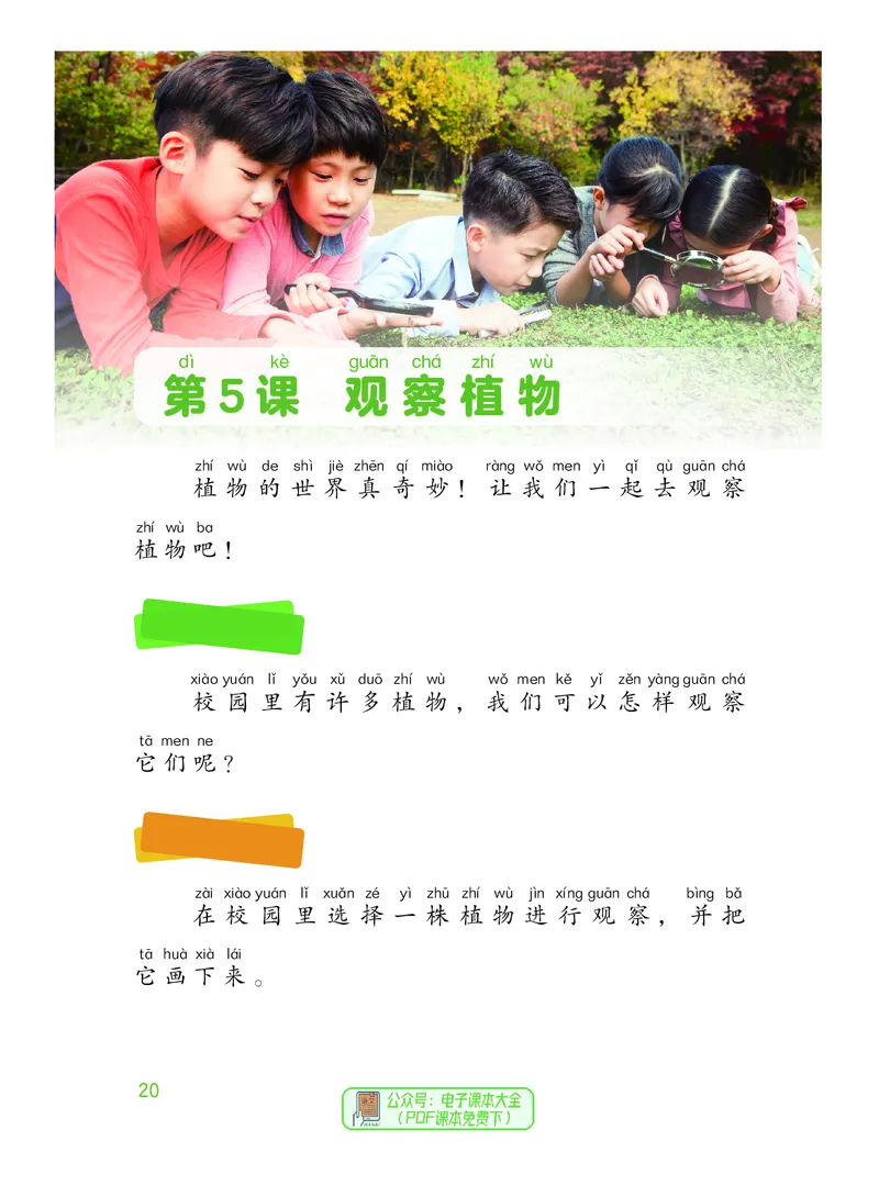 科学一下粤教粤科版（2025春）_小学全网线上同款资料_2025春新增教材合集_小学科学（2025春新教材）