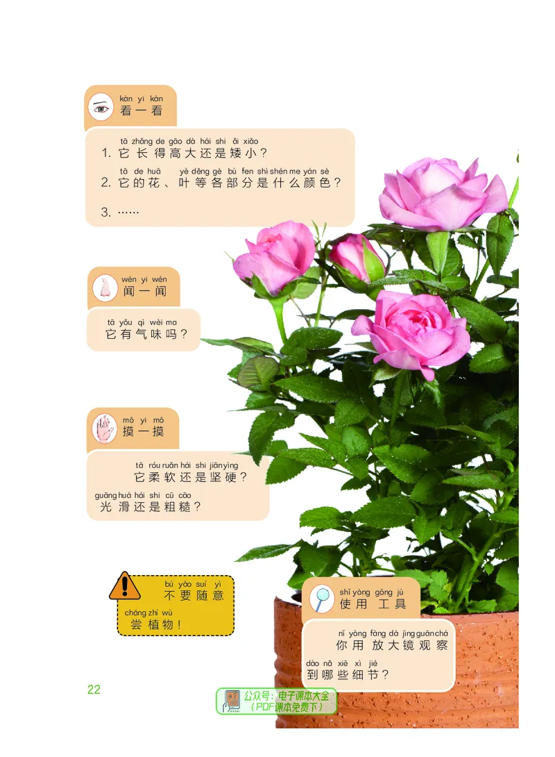 科学一下粤教粤科版（2025春）_小学全网线上同款资料_2025春新增教材合集_小学科学（2025春新教材）