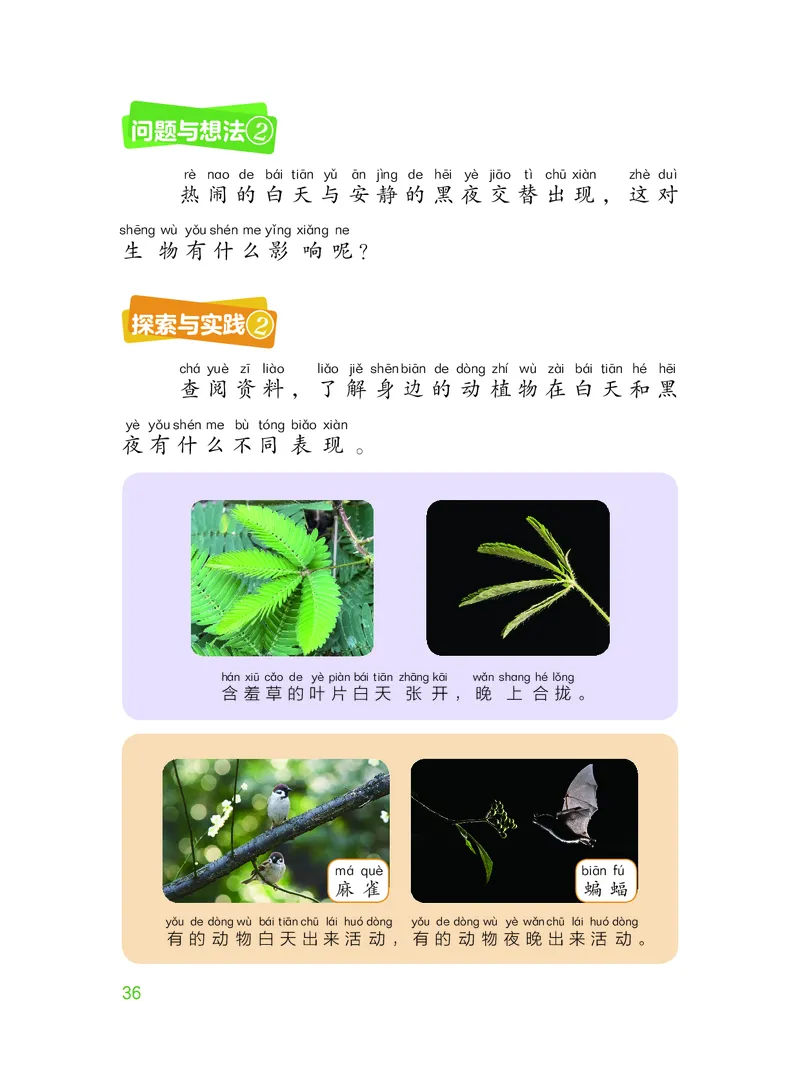 科学一下粤教粤科版（2025春）_小学全网线上同款资料_2025春新增教材合集_小学科学（2025春新教材）