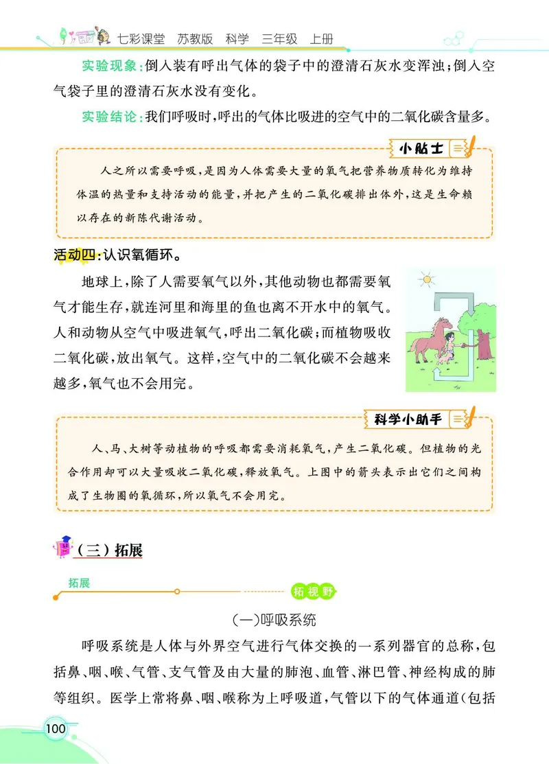 《七彩课堂》科学3年级上册（苏教版）_三年级上下册资料_小学三年级学习资料-25年更新版_3-09、小学三年级科学上册_苏教版_电子册类