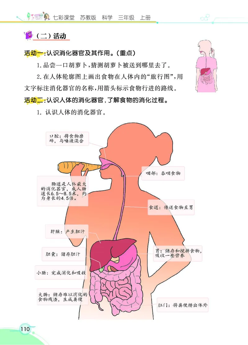 《七彩课堂》科学3年级上册（苏教版）_三年级上下册资料_小学三年级学习资料-25年更新版_3-09、小学三年级科学上册_苏教版_电子册类