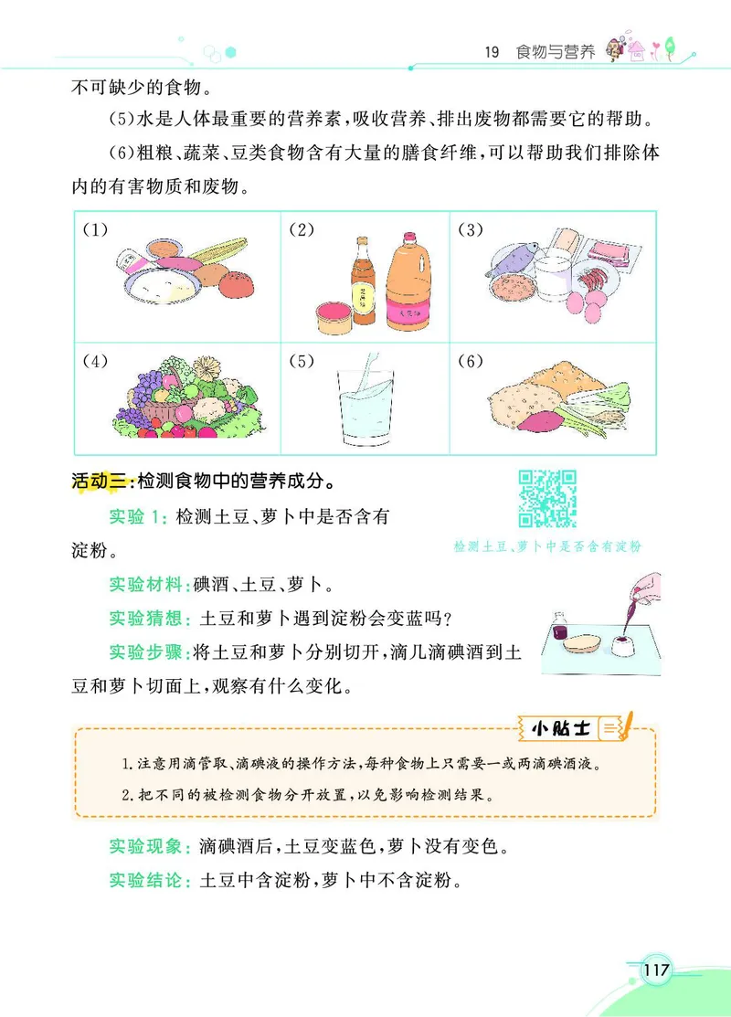《七彩课堂》科学3年级上册（苏教版）_三年级上下册资料_小学三年级学习资料-25年更新版_3-09、小学三年级科学上册_苏教版_电子册类