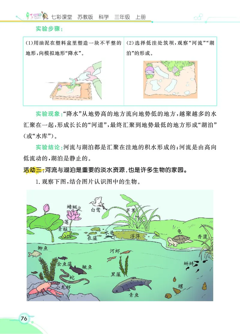 《七彩课堂》科学3年级上册（苏教版）_三年级上下册资料_小学三年级学习资料-25年更新版_3-09、小学三年级科学上册_苏教版_电子册类
