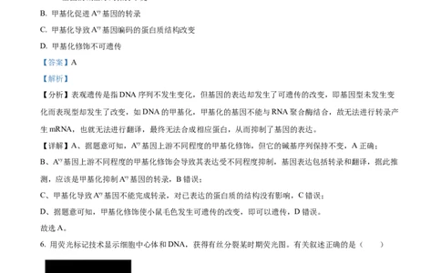 2022年高考生物试卷（天津）（空白卷）_生物历年高考真题_新&middot;Word版2008-2025&middot;高考生物真题_生物（按试卷类型分类）2008-2025_自主命题卷&middot;生物（2008-2025）_天津自主命题&middot;生物（2008-2024）
