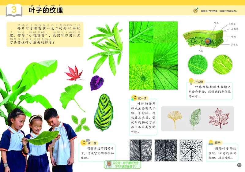 美术一下浙美版（2025春）_小学全网线上同款资料_2025春新增教材合集_小学美术（2025春新教材）