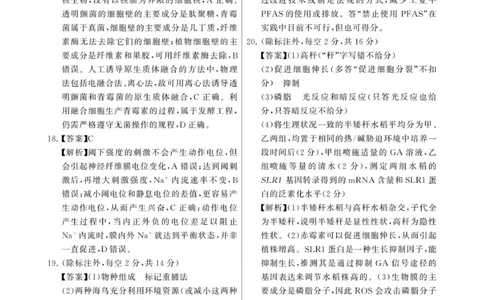 2025年12月高三T8联考生物试卷答案_@高三模考真题_2025年12月高三T8联考试卷及答案