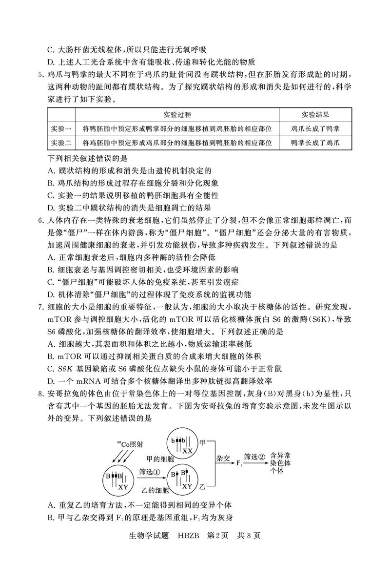 2025年3月高三T8联考生物试卷_@高三模考真题_2025年3月高三T8联考试卷及答案