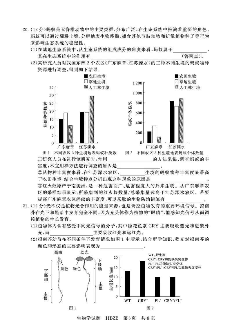 2025年3月高三T8联考生物试卷_@高三模考真题_2025年3月高三T8联考试卷及答案