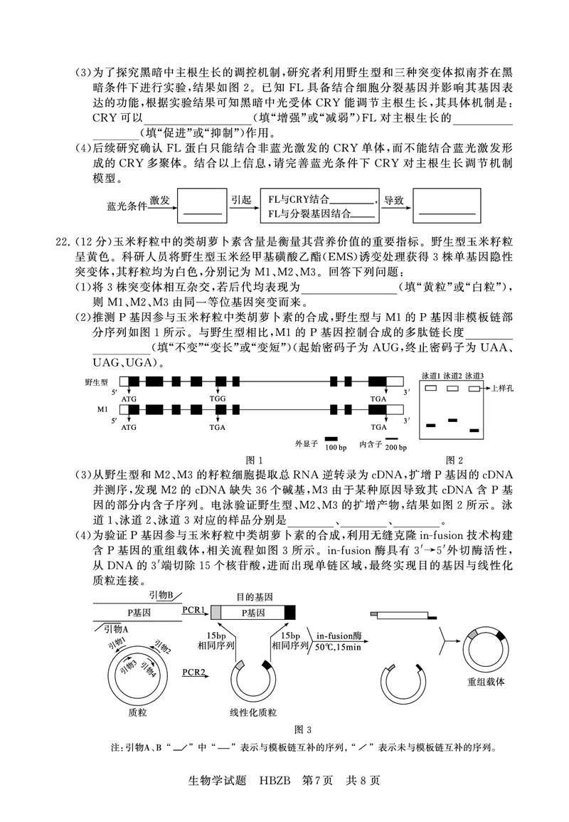 2025年3月高三T8联考生物试卷_@高三模考真题_2025年3月高三T8联考试卷及答案